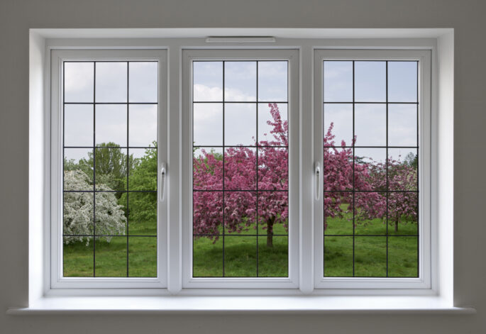 Windows & Doors